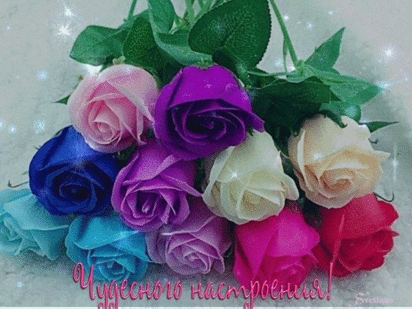 IMG 20171031 080055 4