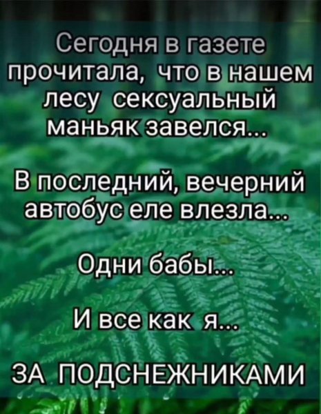 FB IMG 1775798905077