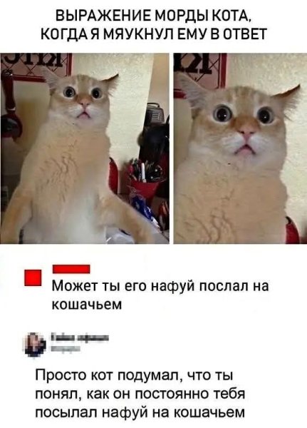 FB IMG 1778093296133