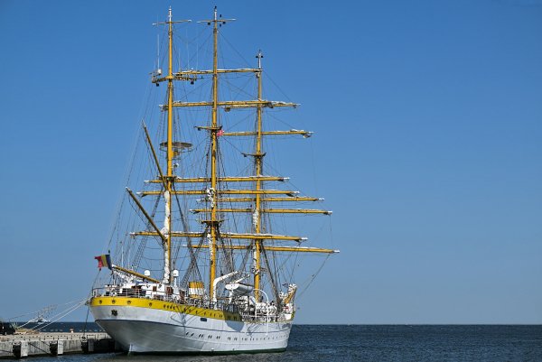 IMG viter59 NS Mircea bark