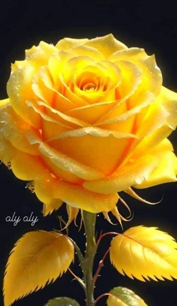 FB IMG 1715066636052