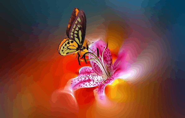 Бабочка на цветке