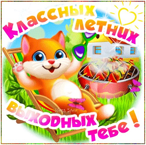 IMG 20200816 193148