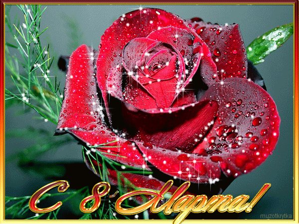 IMG 20160308 174244 0