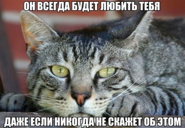 file_54374570