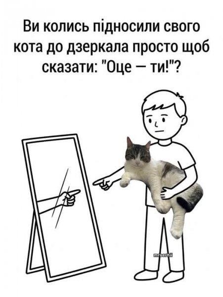 FB IMG 1778703391833
