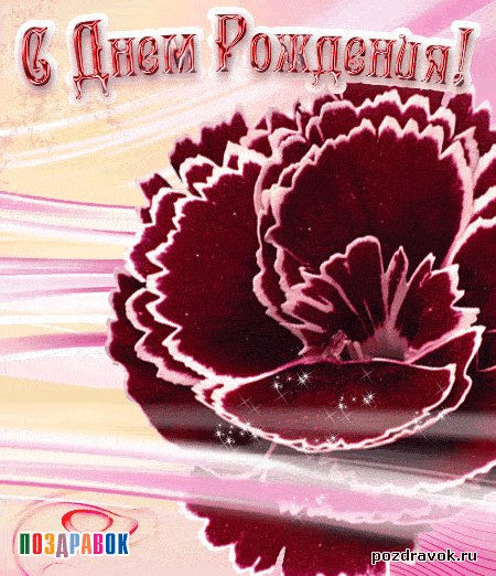 kartinka-den-rozhdeniya-tsvetok