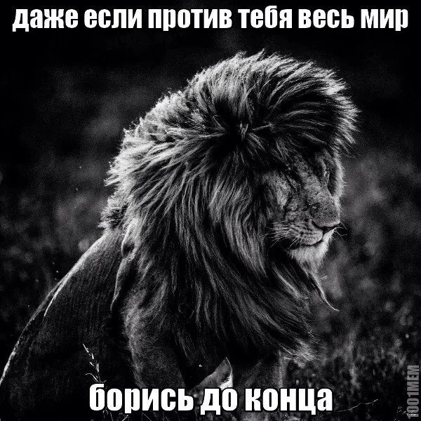 file_91261667