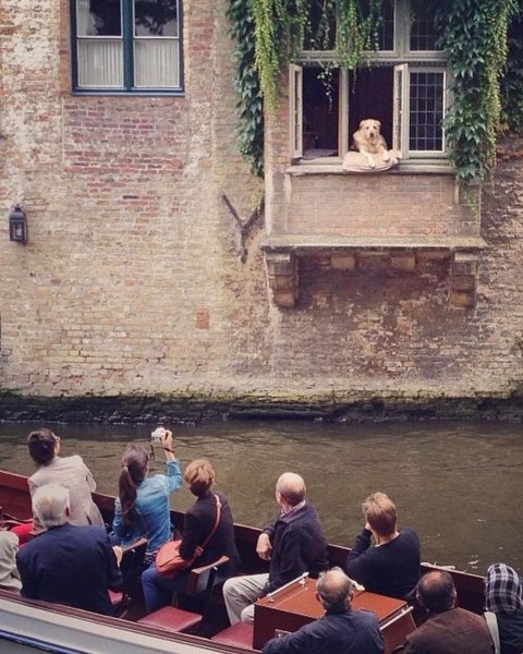 WEDXFYFJGDBHFM3X4KP8