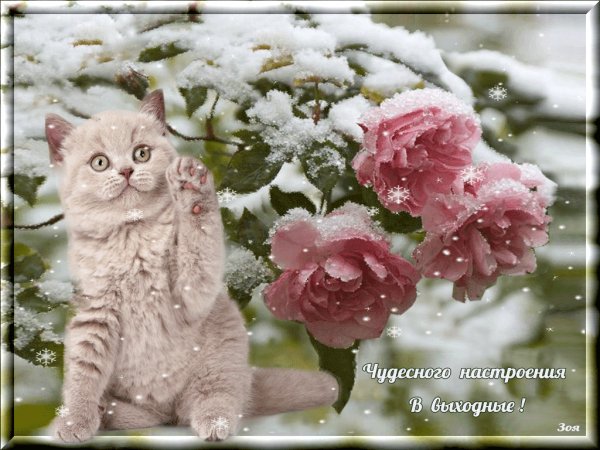 Чудесного настроения в выходные!