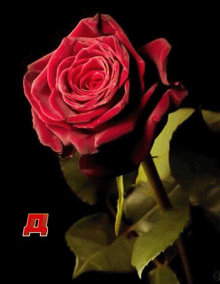Для тeбя