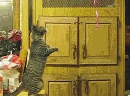 gifs 16