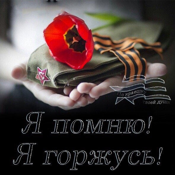 szvTTOg6db8