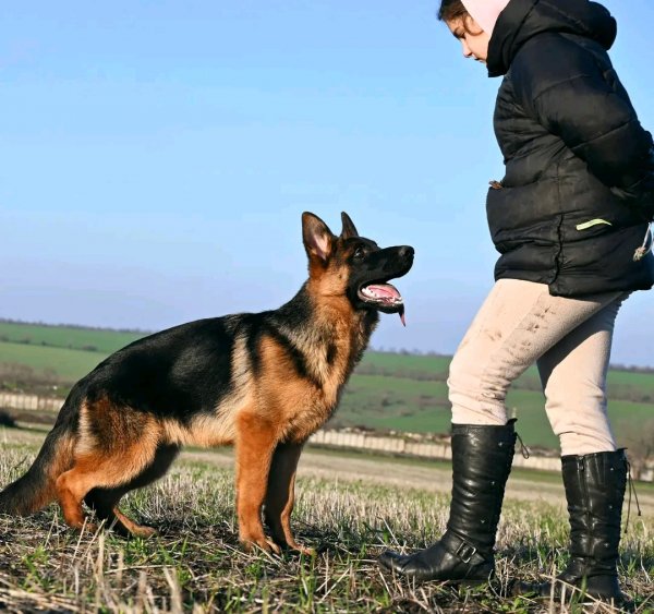 file_101527936