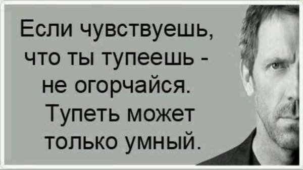 file_86691915