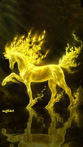goldenhors yhip96q5