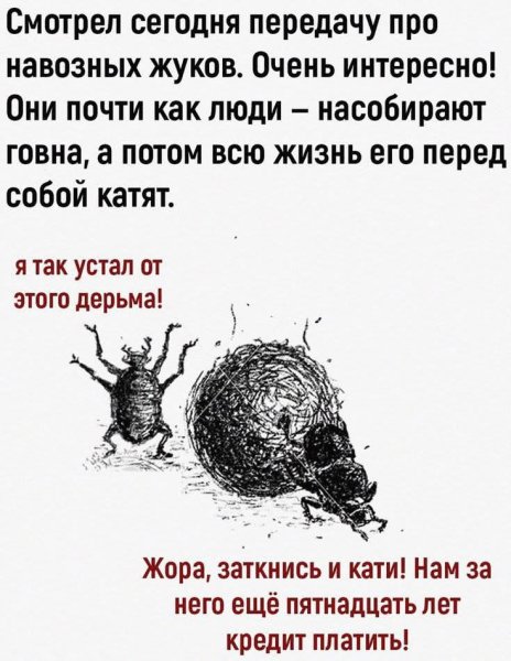 FB IMG 1774465215113