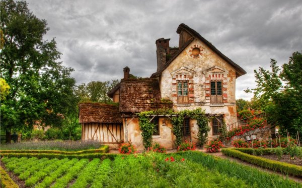 Farm House Green Nature