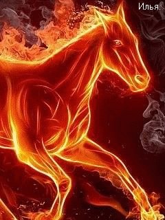 Огненная лошадь 01