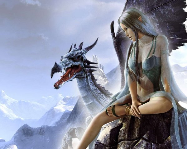 Dragon rider