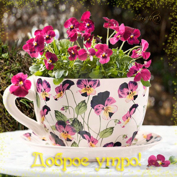 С ДОБРЫМ УТРОМ!
