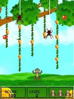 crazy-monkey-240x320