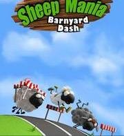 Sheep Mania Barnyard Dash