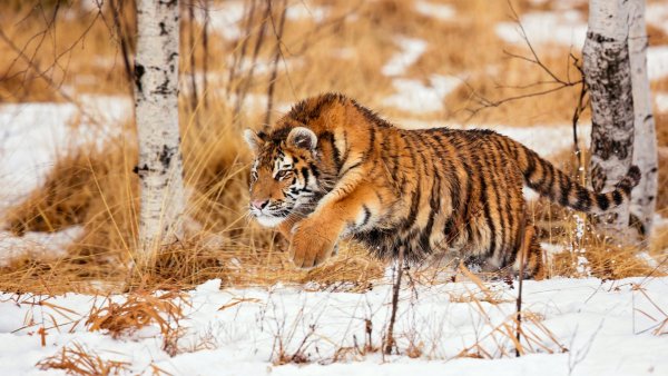 cropped-1920-1080-898511