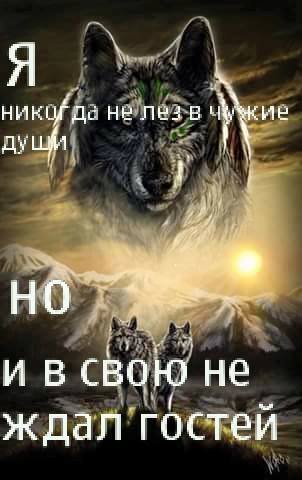 Незапланированные гости