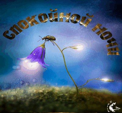 спокойной ночи