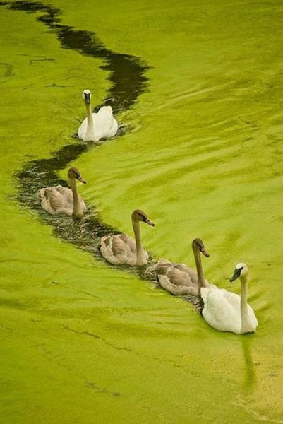 8e5488fedaf65015eb23ec9efb48de13