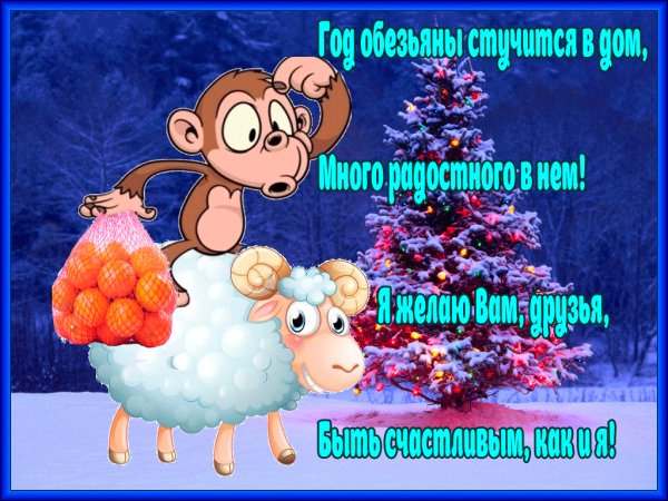 IMG 20151206 015831 5