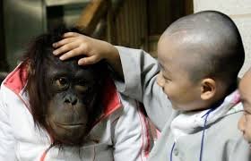 Обезьянки 2