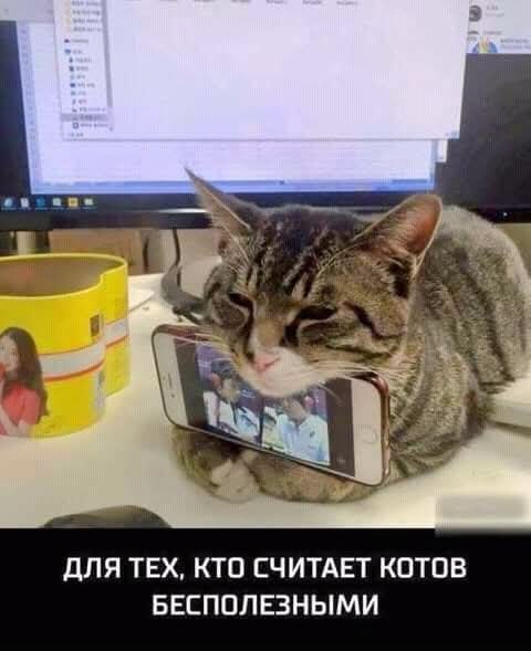 FB IMG 1778093343954