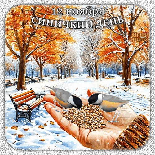 Анимированная открытка синичкин день