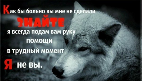 Я, не вы