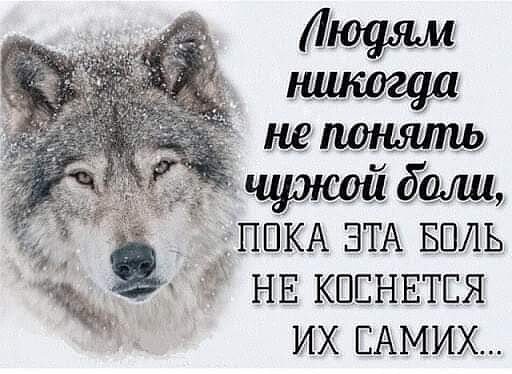 IMG 20211119 224258