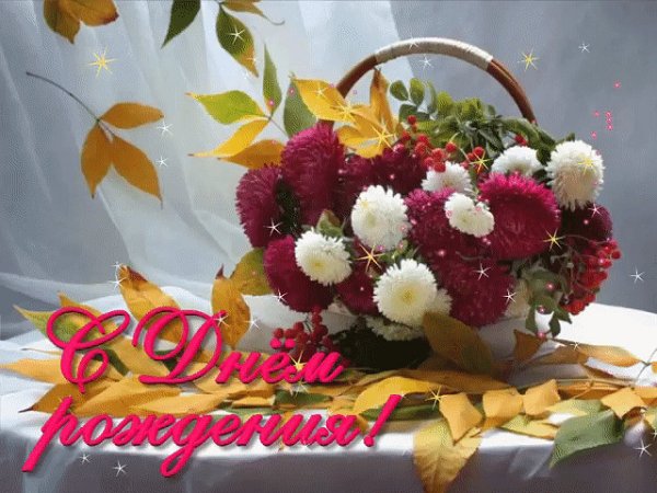 image (35)