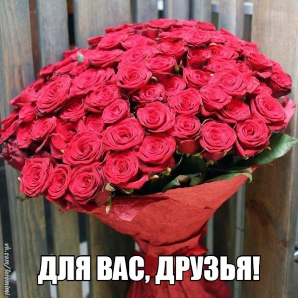 X9t0shM4hbQ