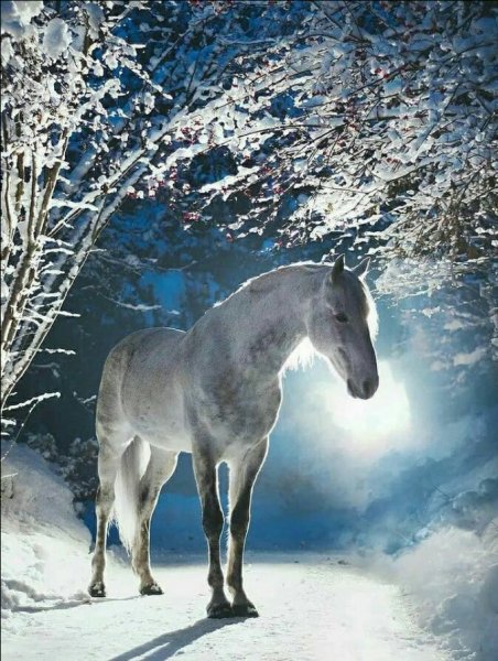 IMG 20211114 131921 427