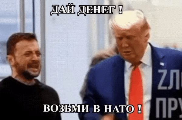 Возьми в НАТО!