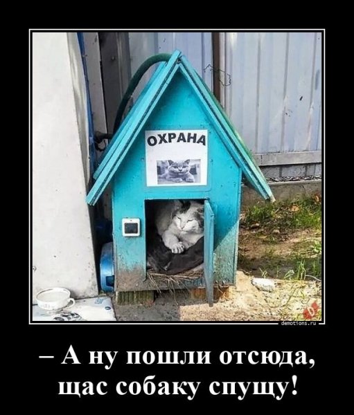 Начальник охраны