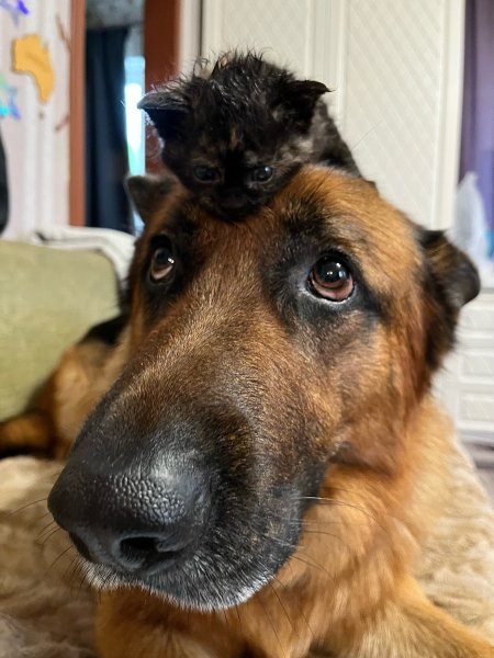 TEFGYBKJTCHFDFGPA80Y