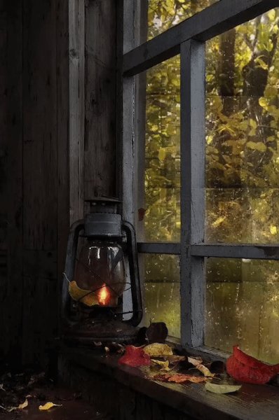 Fbe872fc72917c5d4d6829e38def0cad