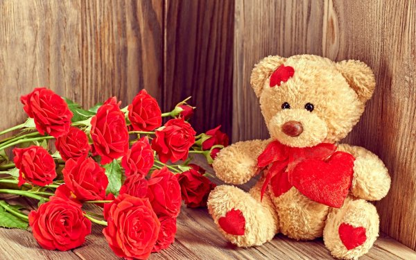 teddy-bear-valentine-s-day-506