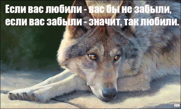 Если вас...