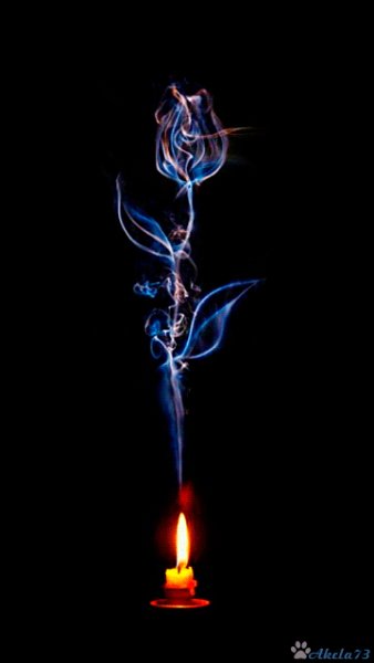 ea44f547df7ed88d2d9818a55c9dd9d3