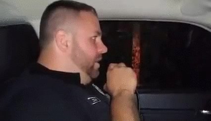 гифки, насекомые