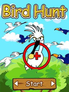 Bird Hunt