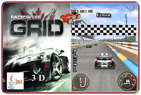 Race Driver Grid 3d s40